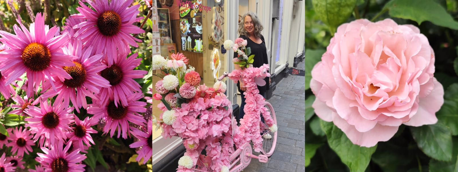 Manchmal ist der Sinn des Lebens einfach, das Leben zu genießen. Hier: Frances in Amsterdam vor einem Bäcker vor einem mit rosafarbenen Rosen geschmückten Fahrrad. Links und rechts davon Abbildungen von blühenden rosa Blüten.